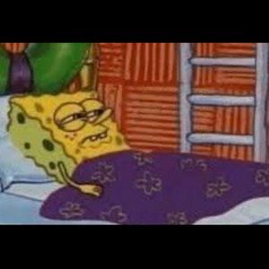 Meet your Posher, Ariana